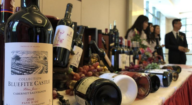國內進口葡萄酒加盟市場前景怎么樣?